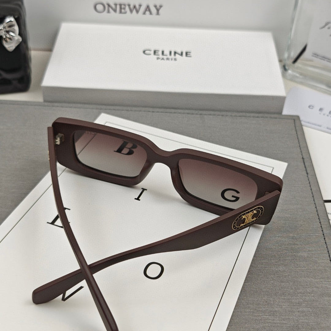 CELINE TRIOMPHE BOLD SQUARE SUNGLASSES 55148 IN ACETATE